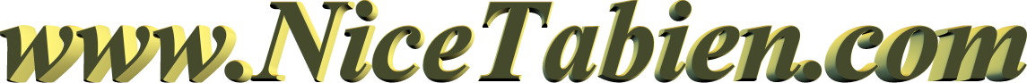 nicetabien.com